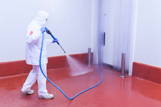 Best Building Exterior Pressure Washing in Beulaville, NC