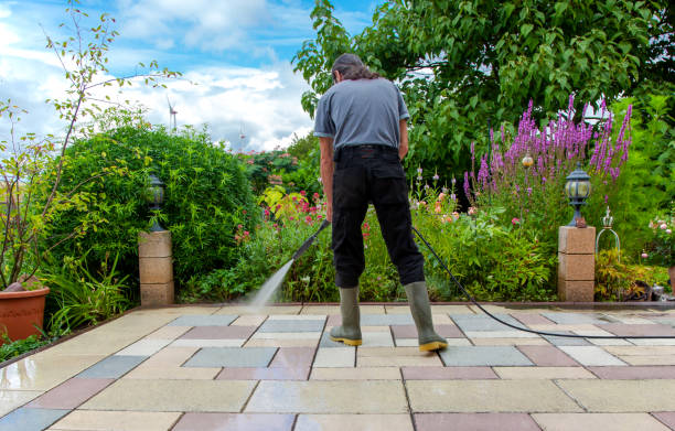 Best Fence Cleaning and Maintenance in Beulaville, NC